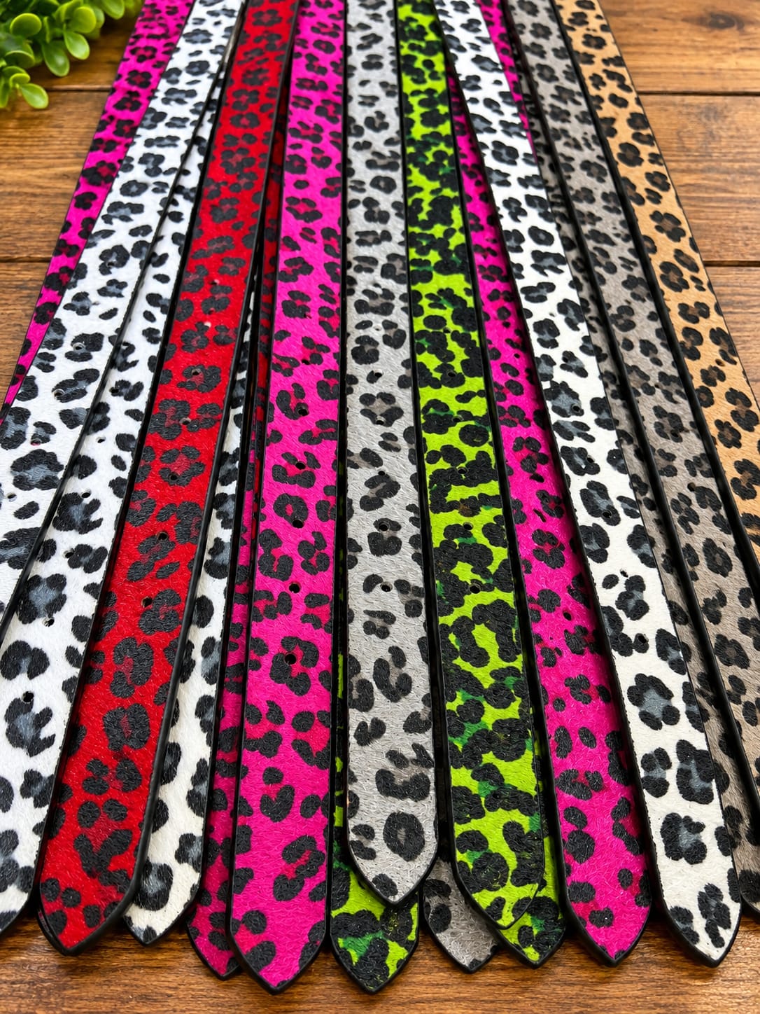 Untamed Belts